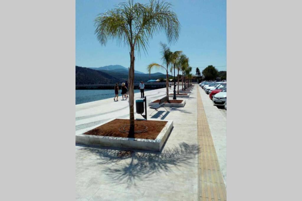 Iris'S Apartment Central With Parking Argostoli  Esterno foto